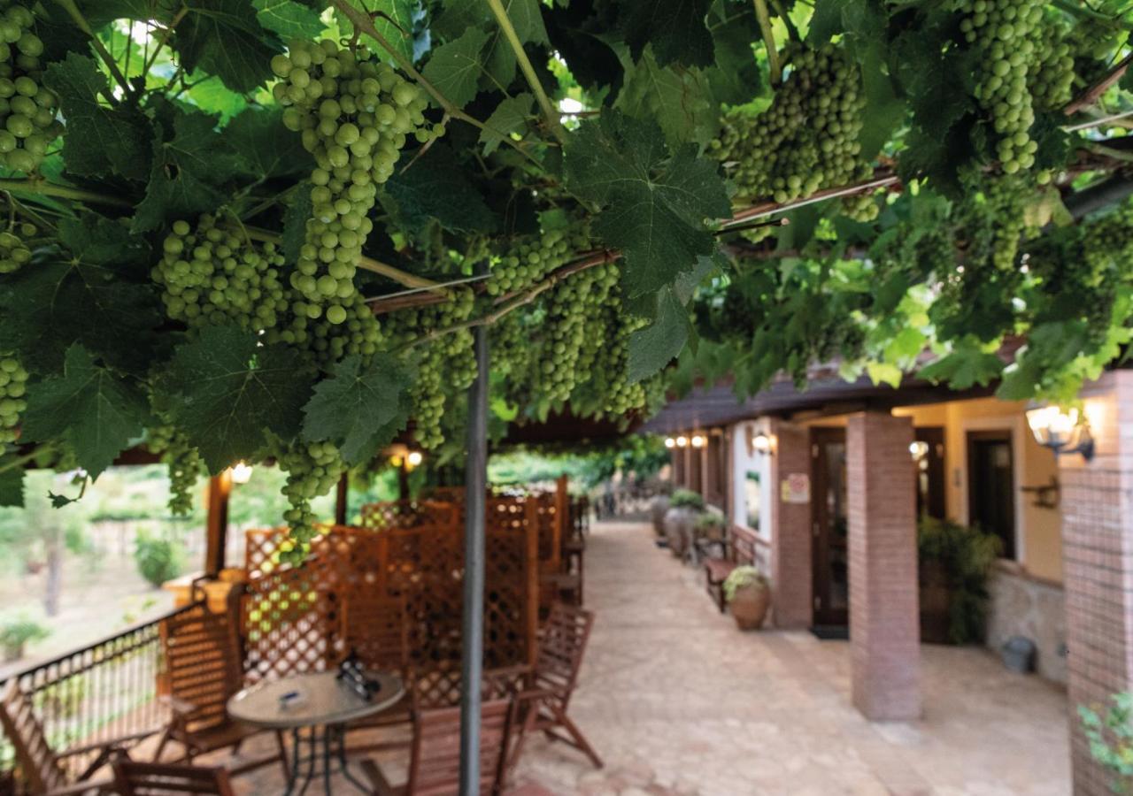 Il Sorgituro - Agriturismo Postiglione Eksteriør billede